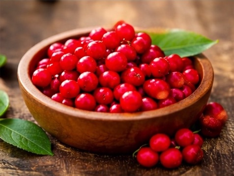 Schisandra berry